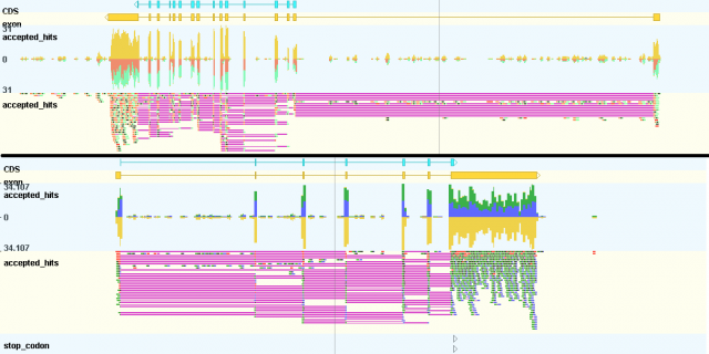 f:id:kazumaxneo:20180629234020p:plain f:id:kazumaxneo:20180629234020p:plain