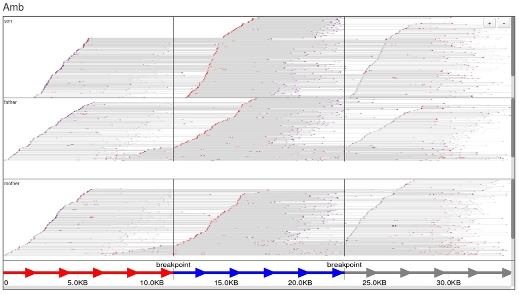 f:id:kazumaxneo:20180926140742j:plain