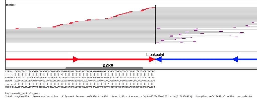 f:id:kazumaxneo:20180926213640j:plain