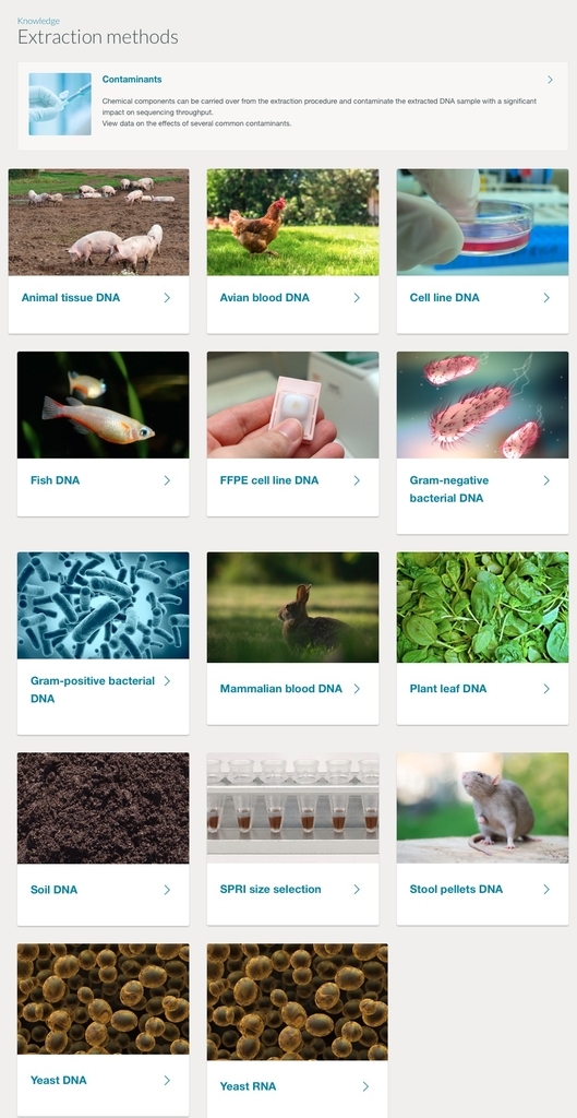 f:id:kazumaxneo:20190111104252j:plain