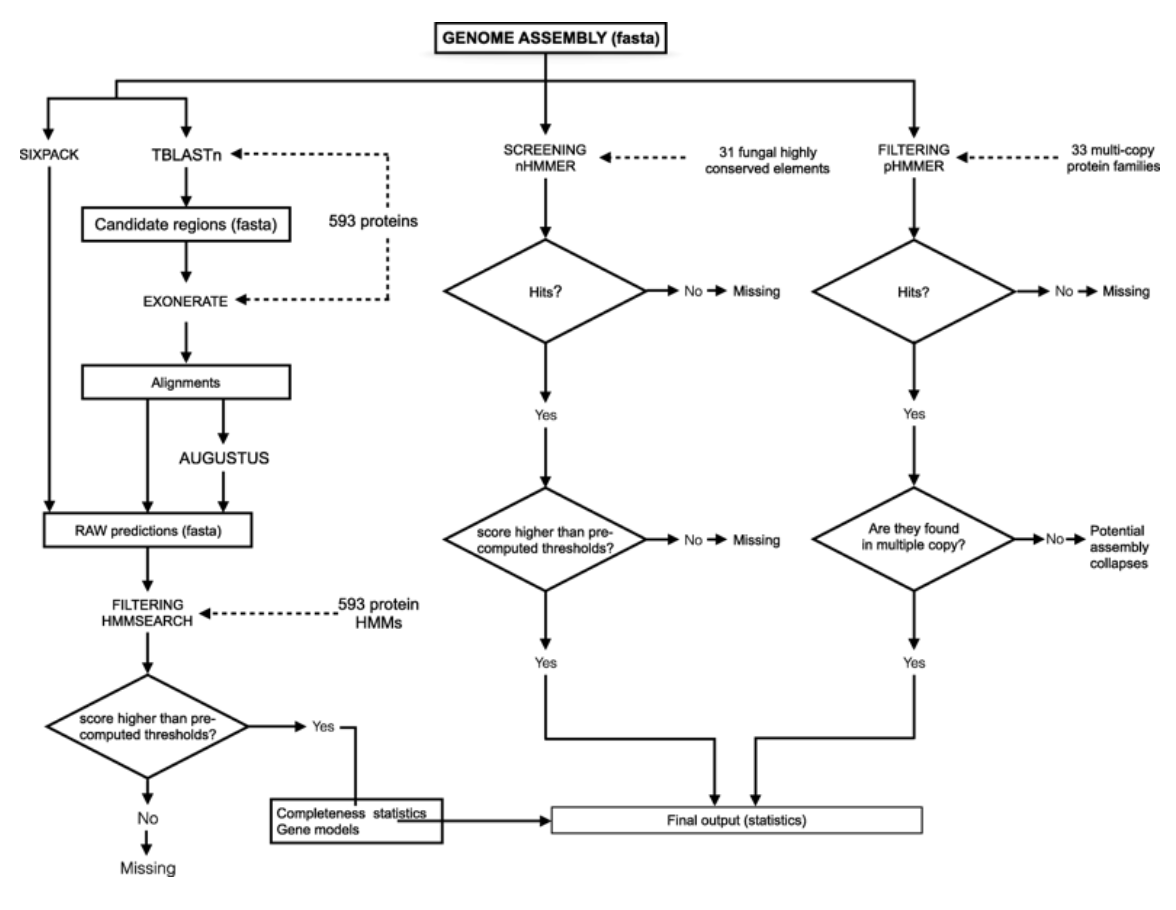 f:id:kazumaxneo:20190422234225p:plain