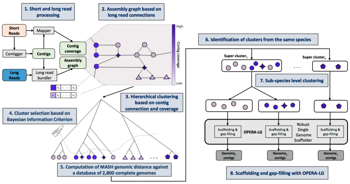 f:id:kazumaxneo:20190823132906p:plain
