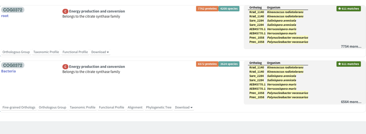 f:id:kazumaxneo:20191026132426p:plain