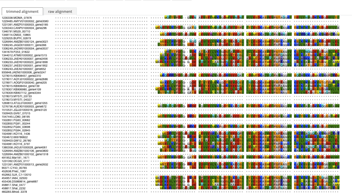 f:id:kazumaxneo:20191026144426p:plain