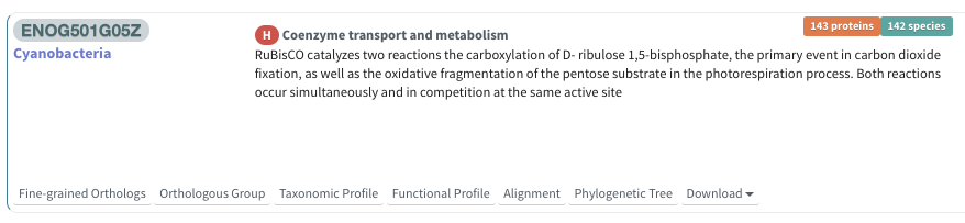 f:id:kazumaxneo:20191026145332p:plain