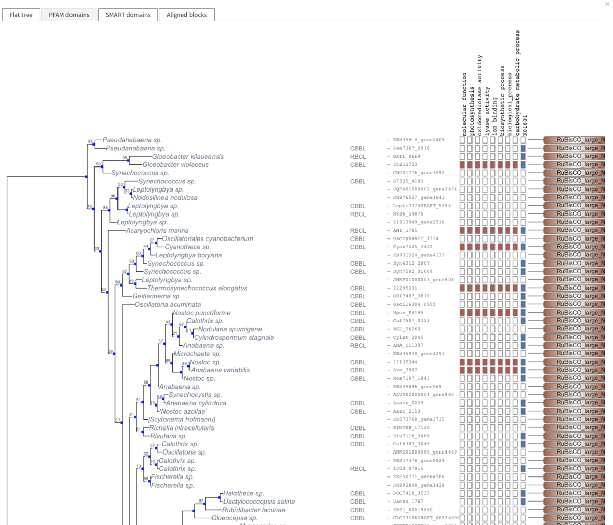 f:id:kazumaxneo:20191026145603p:plain