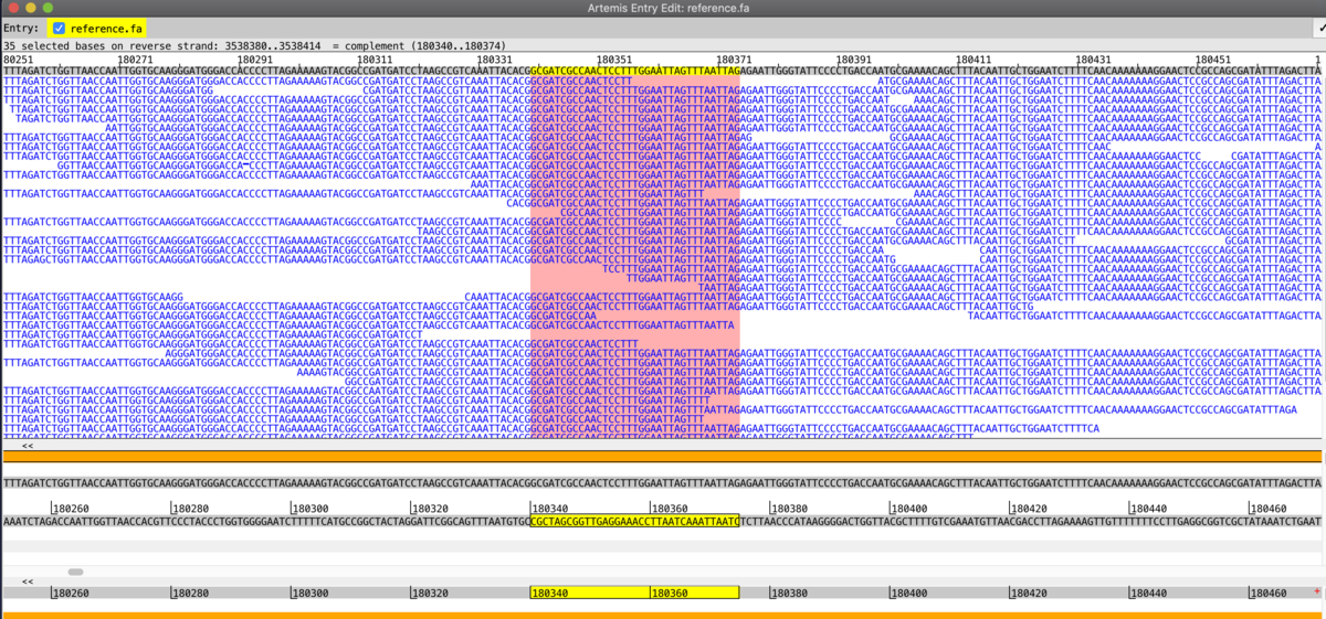 f:id:kazumaxneo:20191207003618p:plain f:id:kazumaxneo:20191207003618p:plain