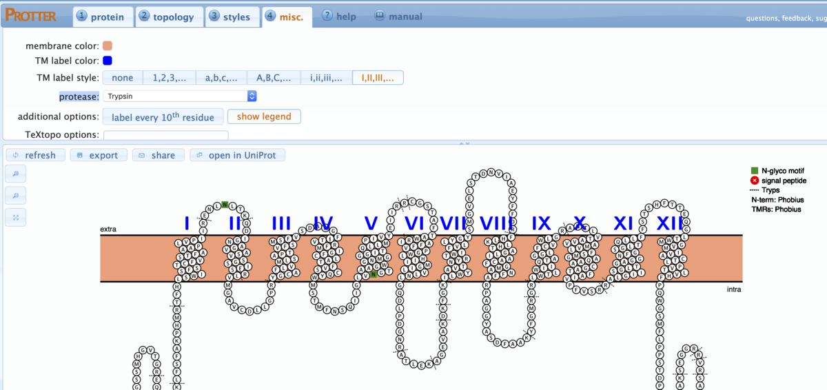 f:id:kazumaxneo:20191218232107p:plain f:id:kazumaxneo:20191218232107p:plain