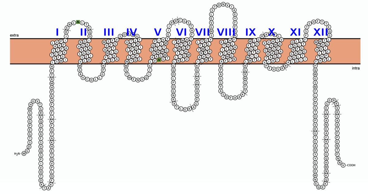 f:id:kazumaxneo:20191218233348p:plain f:id:kazumaxneo:20191218233348p:plain