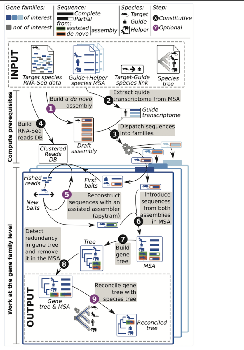 f:id:kazumaxneo:20200121222505p:plain