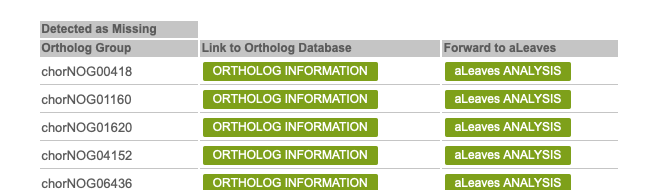f:id:kazumaxneo:20200301110436p:plain f:id:kazumaxneo:20200301110436p:plain
