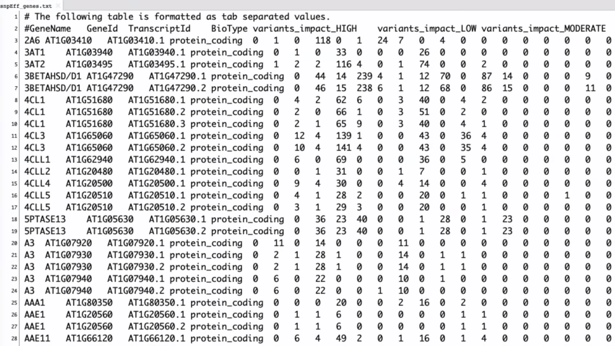 f:id:kazumaxneo:20200516113809p:plain