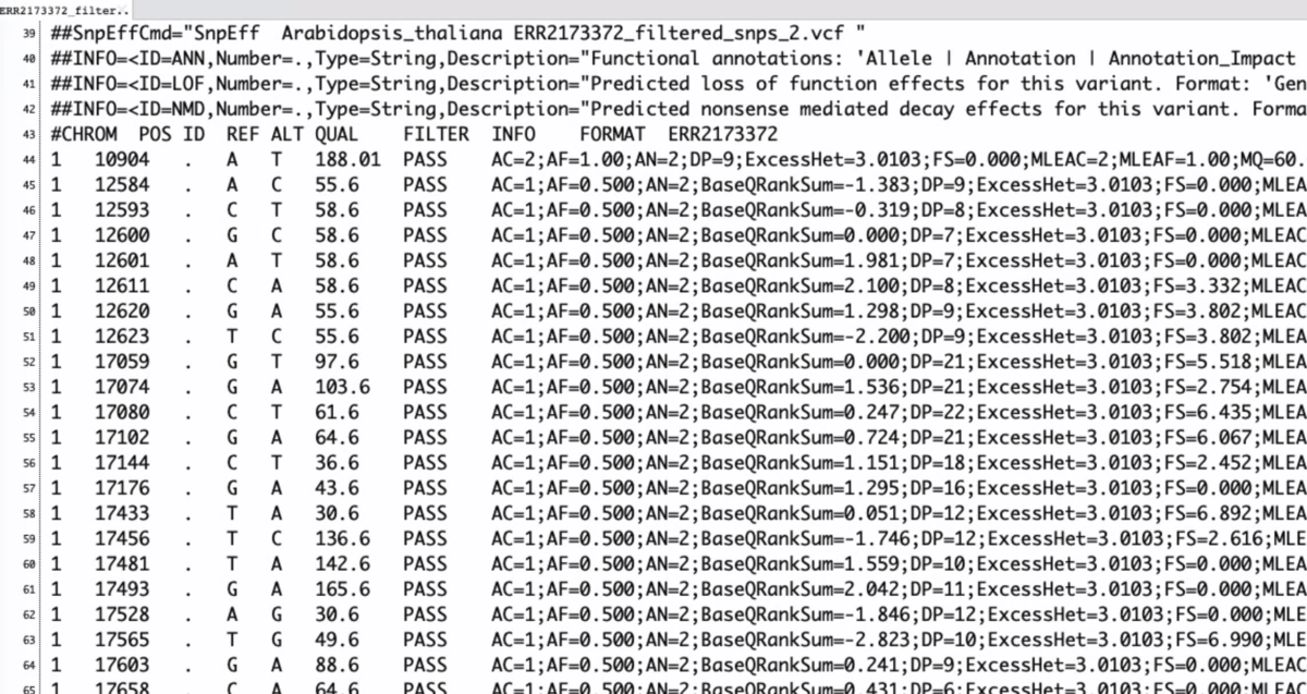 f:id:kazumaxneo:20200516113900p:plain