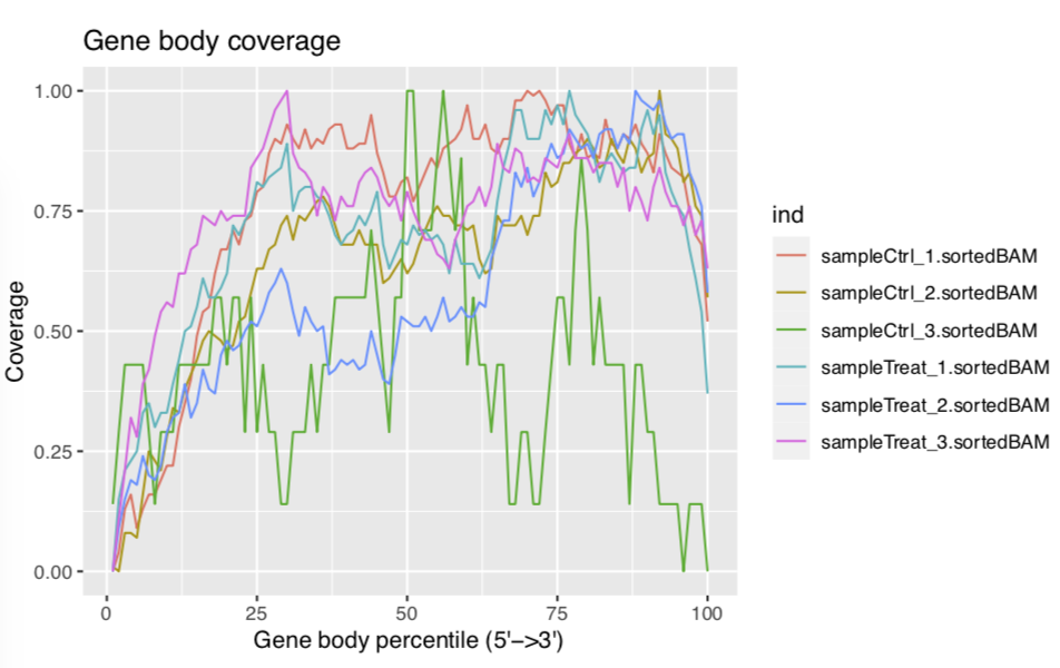 f:id:kazumaxneo:20201229142756p:plain
