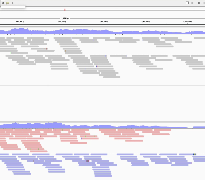 f:id:kazumaxneo:20210214124215p:plain