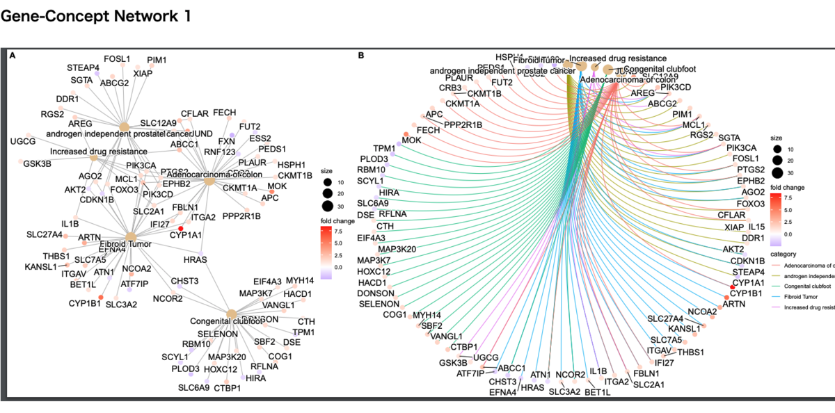 f:id:kazumaxneo:20211118101355p:plain