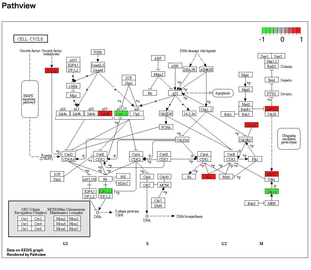 f:id:kazumaxneo:20211118101401p:plain