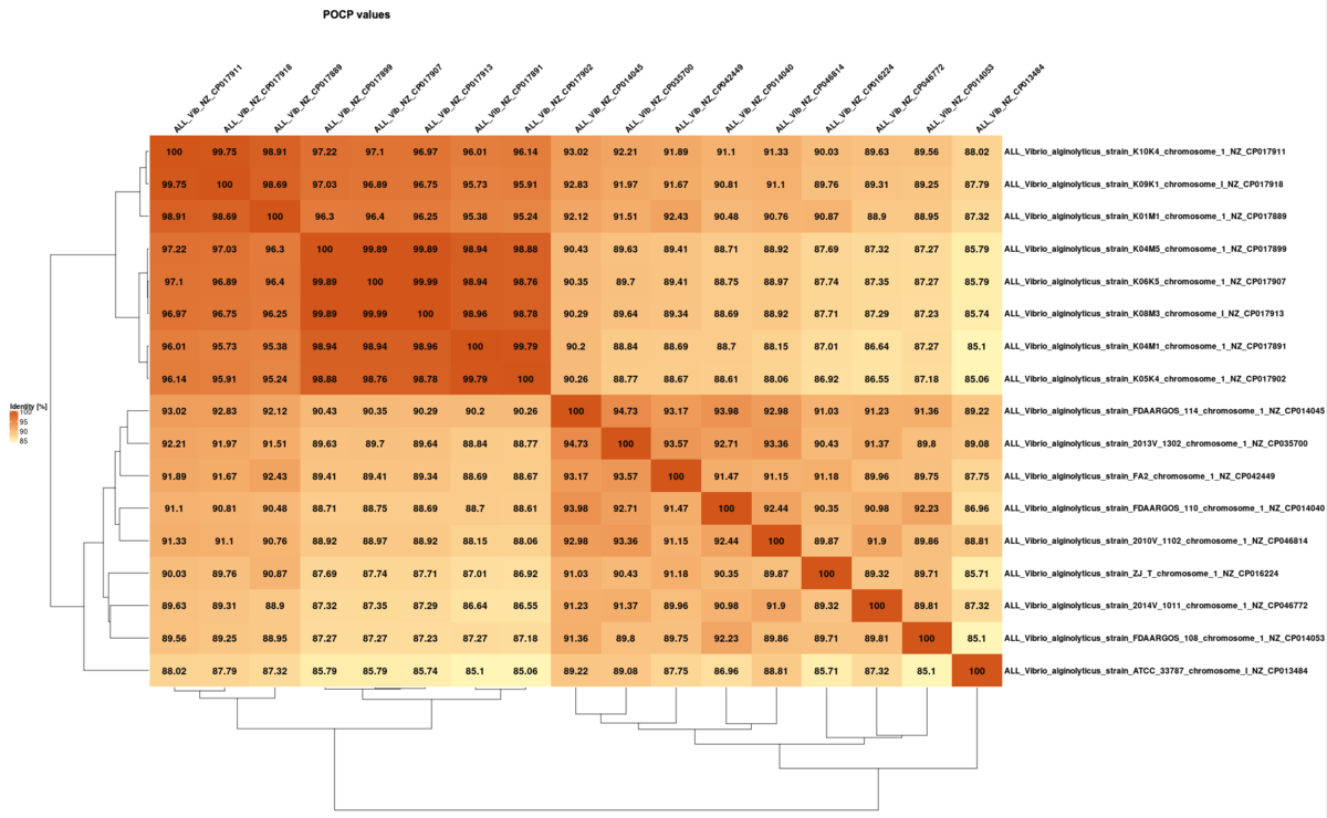 Macでインフォマティクス