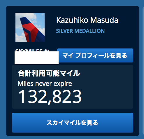 f:id:kazumile:20170607224315p:plain