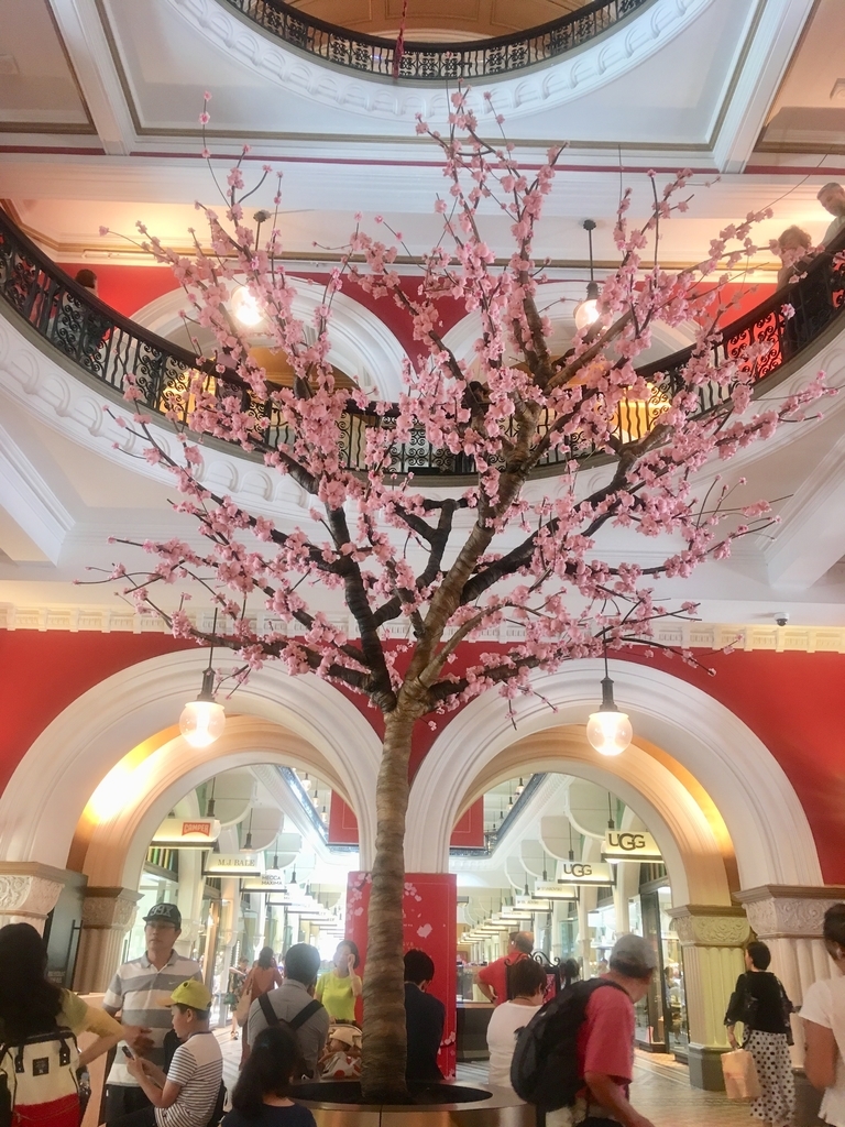 f:id:kazuminaus:20190227135138j:plain