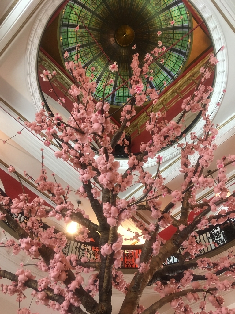 f:id:kazuminaus:20190227135234j:plain