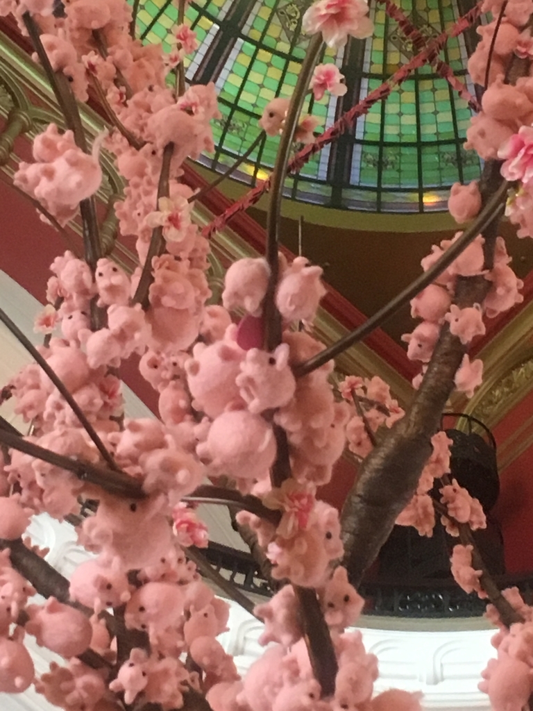 f:id:kazuminaus:20190227135319j:plain