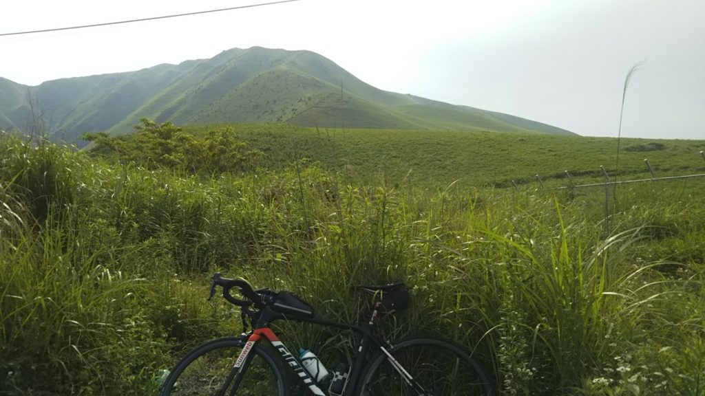 f:id:kazumistu:20180623111135j:plain f:id:kazumistu:20180623111135j:plain