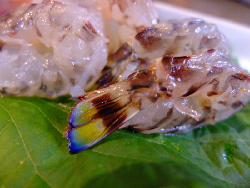 f:id:kazunobu-0915:20170530074450j:plain