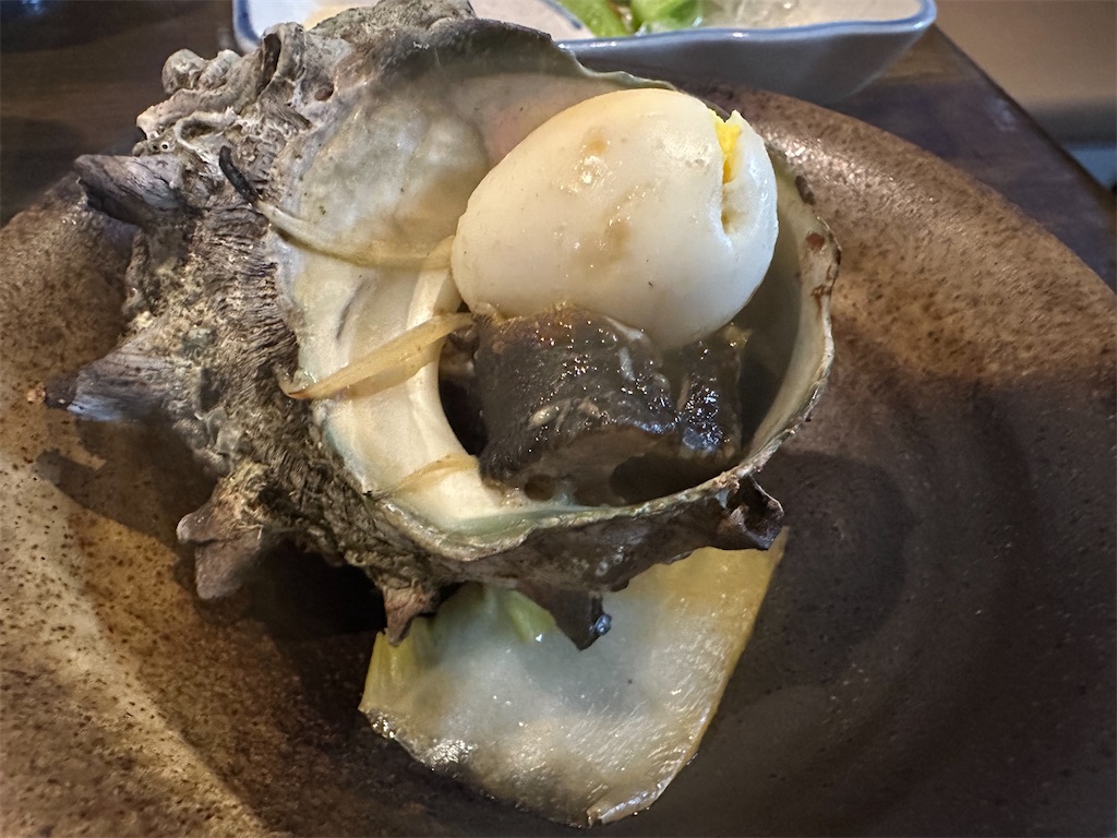 f:id:kazunobu-0915:20240708121431j:image