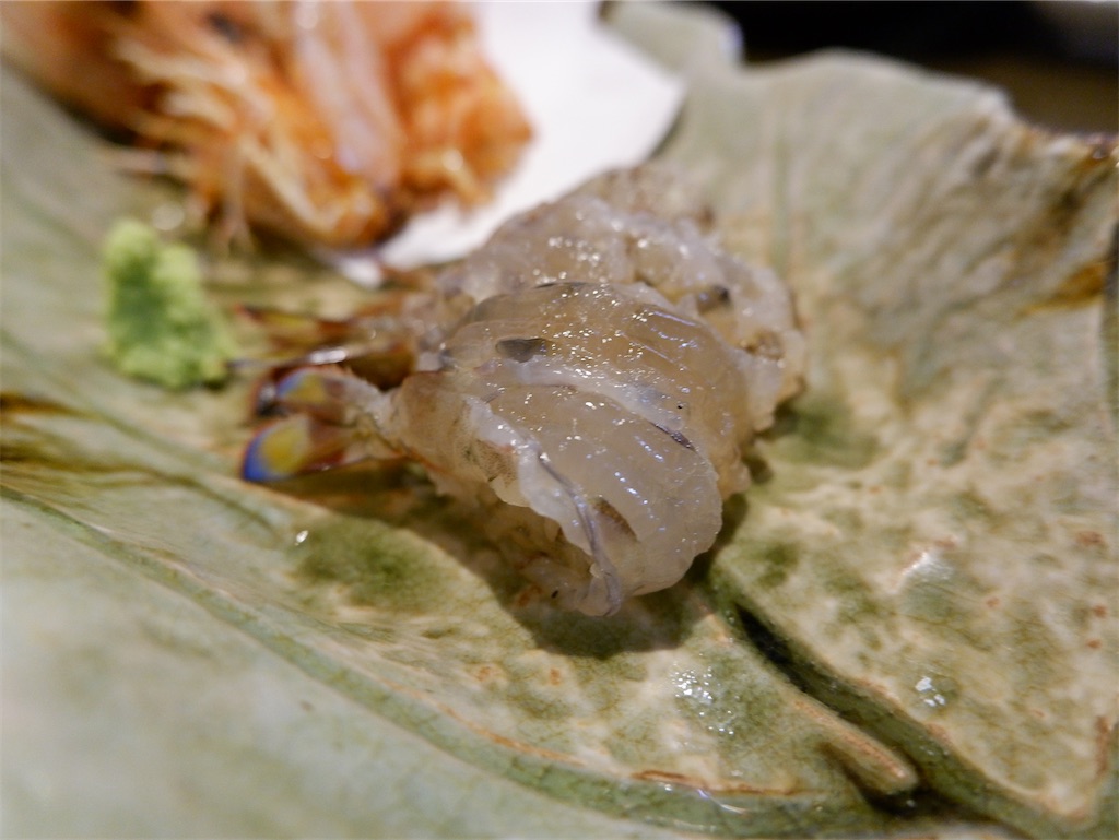 f:id:kazunobu-0915:20241031161645j:image