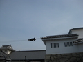 20190205012958