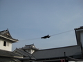 20190205012959