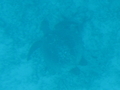 20191030030343
