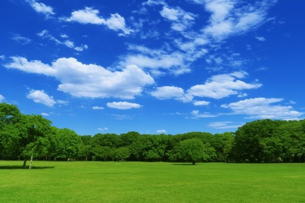 f:id:kazuo20:20201127171958j:plain
