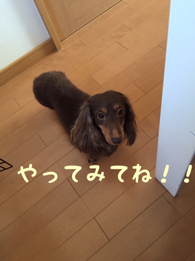 f:id:kazupi421:20161109210137j:plain f:id:kazupi421:20161109210137j:plain