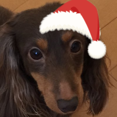 f:id:kazupi421:20161211223728p:plain f:id:kazupi421:20161211223728p:plain