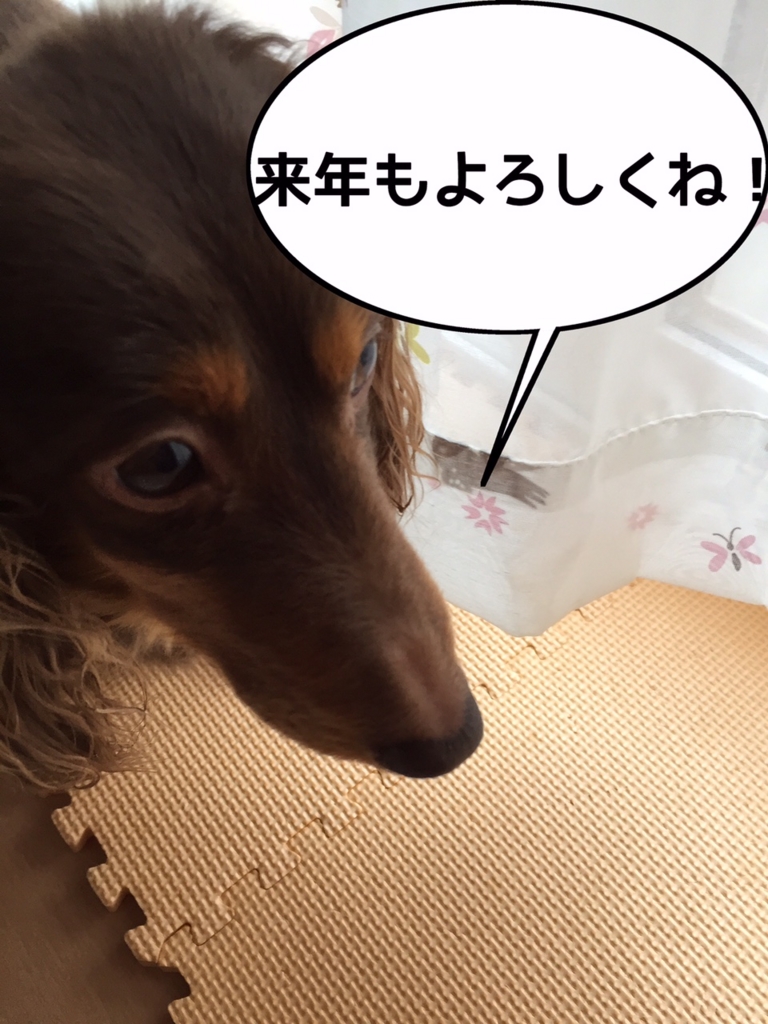 f:id:kazupi421:20161226222801j:plain f:id:kazupi421:20161226222801j:plain