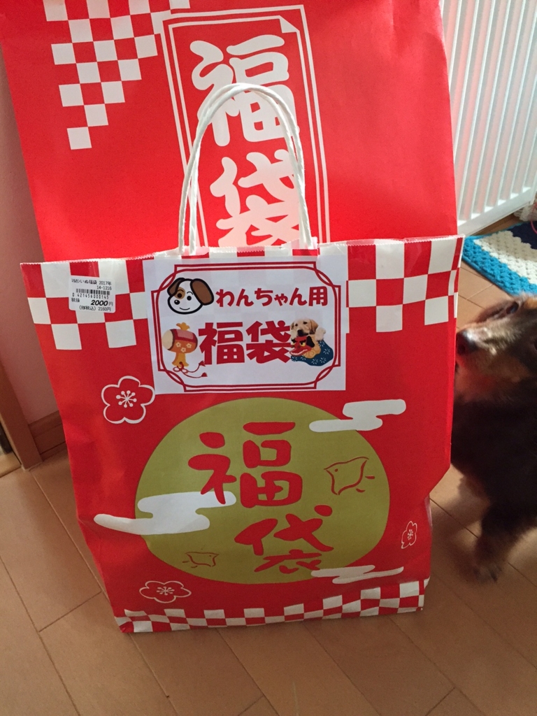 f:id:kazupi421:20170102202618j:plain f:id:kazupi421:20170102202618j:plain