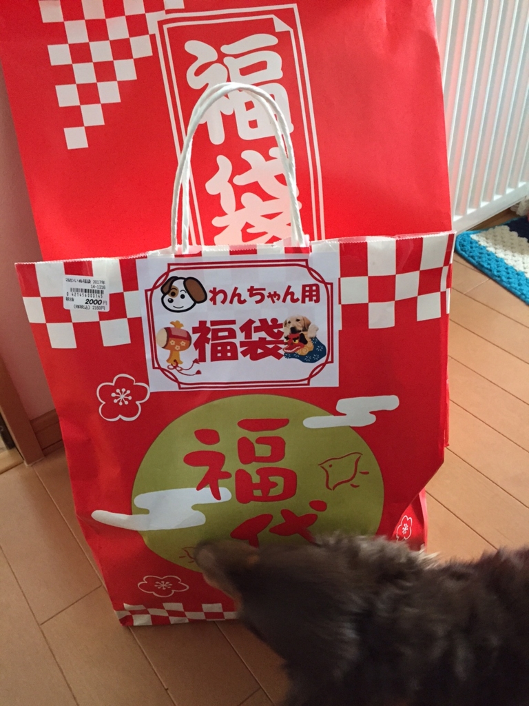 f:id:kazupi421:20170102202651j:plain f:id:kazupi421:20170102202651j:plain
