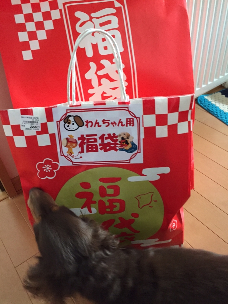 f:id:kazupi421:20170102202728j:plain f:id:kazupi421:20170102202728j:plain