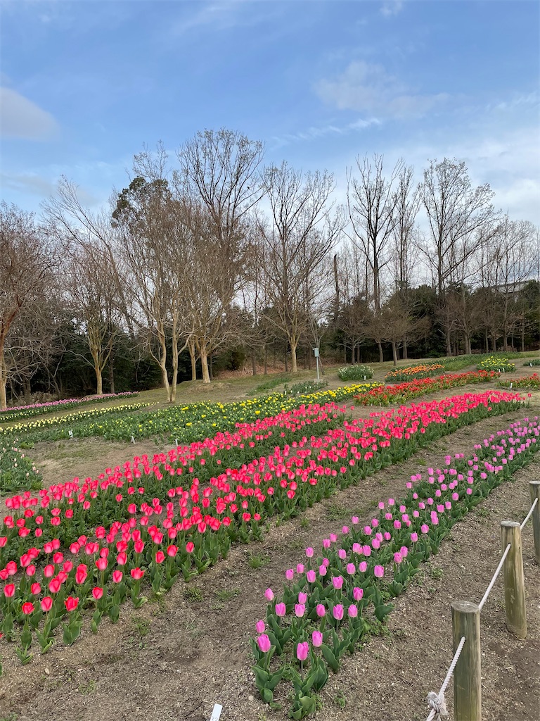 f:id:kazupu-san:20220401192125j:image f:id:kazupu-san:20220401192125j:image