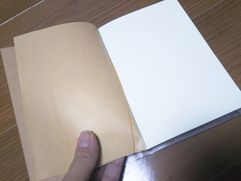 f:id:kazura24:20190128191906j:plain