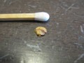 [その他]種