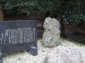 [その他]さざれ石