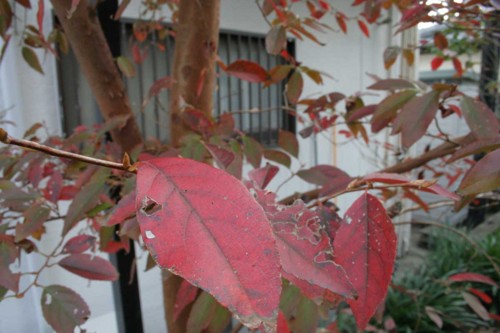 f:id:kazurateiutubo:20161213233238j:plain