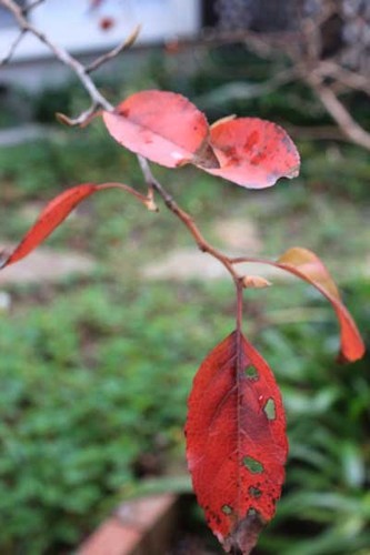 f:id:kazurateiutubo:20181202221321j:plain