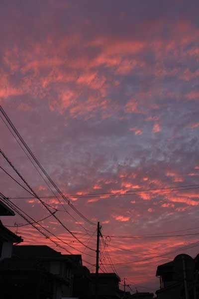 f:id:kazurateiutubo:20190622225638j:plain
