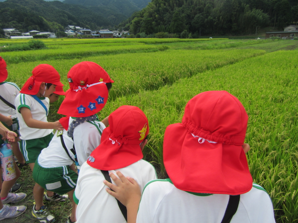 f:id:kazurugaoka:20170915084725j:plain f:id:kazurugaoka:20170915084725j:plain