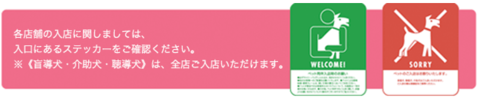 f:id:kazusa39:20191117204931p:plain