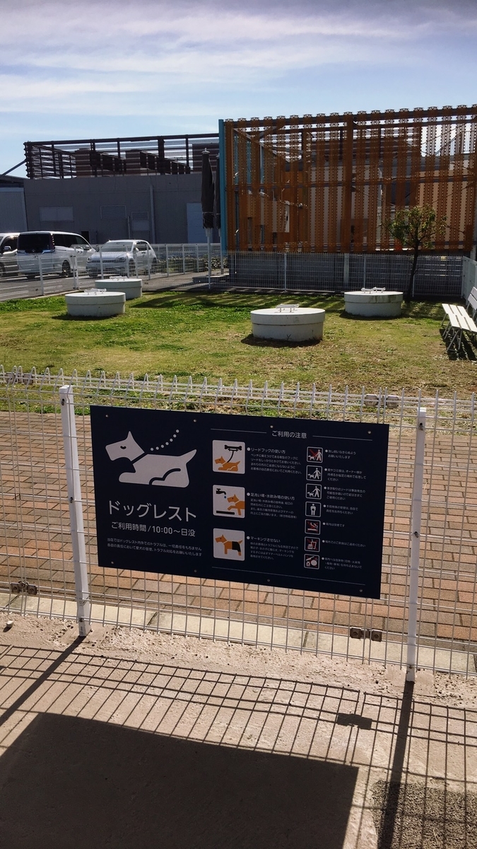 f:id:kazusa39:20191117205237j:plain